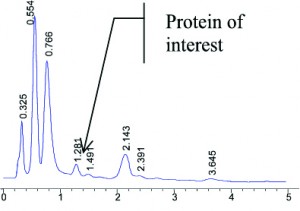 Separation of cell culture